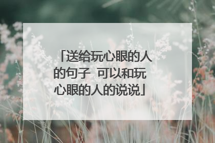 送给玩心眼的人的句子 可以和玩心眼的人的说说