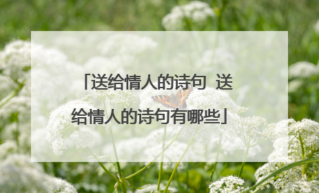 送给情人的诗句 送给情人的诗句有哪些