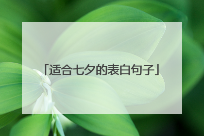 适合七夕的表白句子