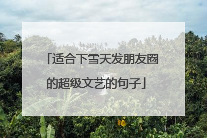 适合下雪天发朋友圈的超级文艺的句子