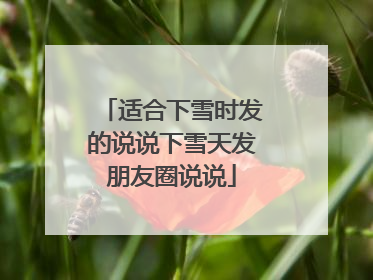 适合下雪时发的说说下雪天发朋友圈说说