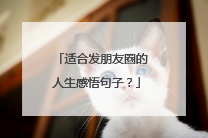 适合发朋友圈的人生感悟句子?