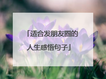 适合发朋友圈的人生感悟句子