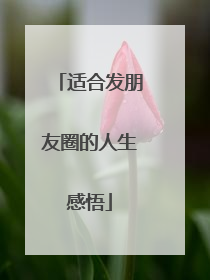 适合发朋友圈的人生感悟