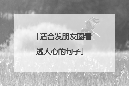 适合发朋友圈看透人心的句子