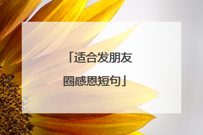 适合发朋友圈感恩短句
