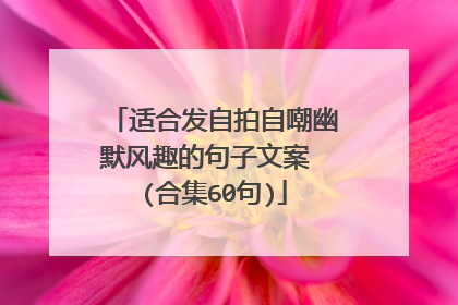 适合发自拍自嘲幽默风趣的句子文案 (合集60句)