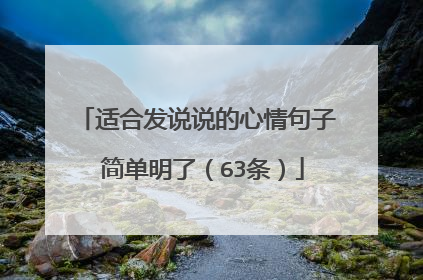 适合发说说的心情句子 简单明了(63条)