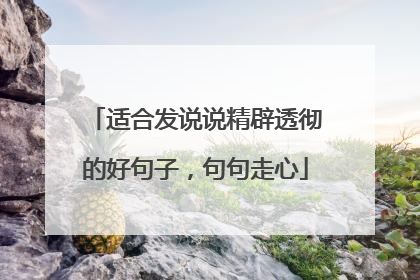 适合发说说精辟透彻的好句子,句句走心