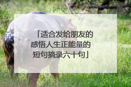 适合发给朋友的感悟人生正能量的短句摘录六十句