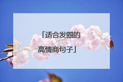 适合发圈的高情商句子