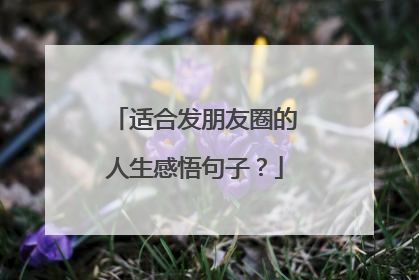 适合发朋友圈的人生感悟句子?