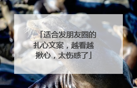 适合发朋友圈的扎心文案,越看越揪心,太伤感了