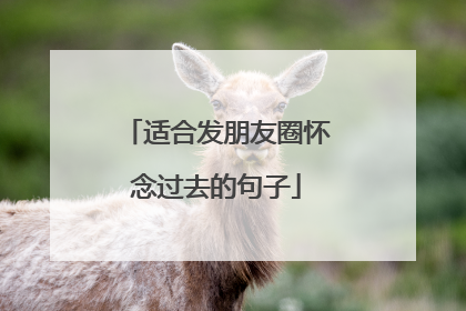 适合发朋友圈怀念过去的句子