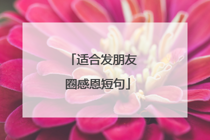 适合发朋友圈感恩短句