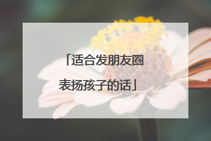 适合发朋友圈表扬孩子的话
