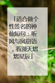 适合做个性签名的神仙短句:听风与凤窃语,看漫天熠熠星辰