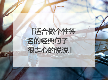 适合做个性签名的经典句子 很走心的说说