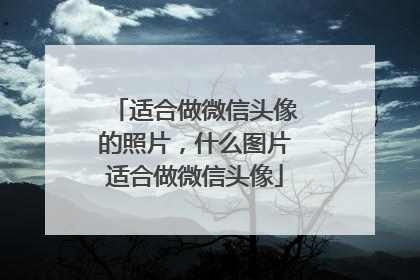 适合做微信头像的照片,什么图片适合做微信头像