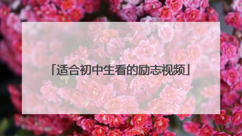 适合初中生看的励志视频