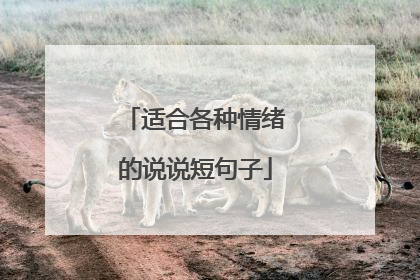 适合各种情绪的说说短句子