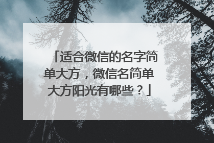 适合微信的名字简单大方,微信名简单大方阳光有哪些?