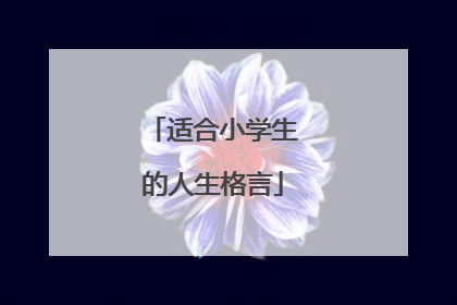 适合小学生的人生格言