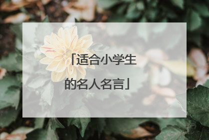 适合小学生的名人名言