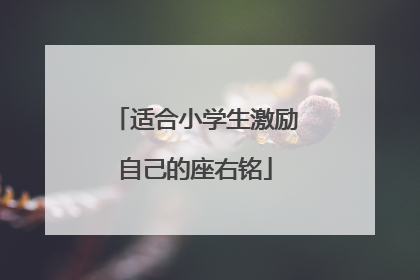 适合小学生激励自己的座右铭