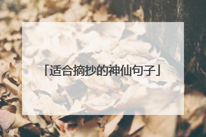 适合摘抄的神仙句子