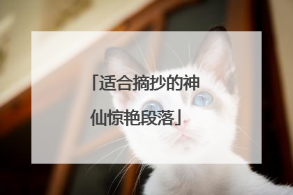 适合摘抄的神仙惊艳段落