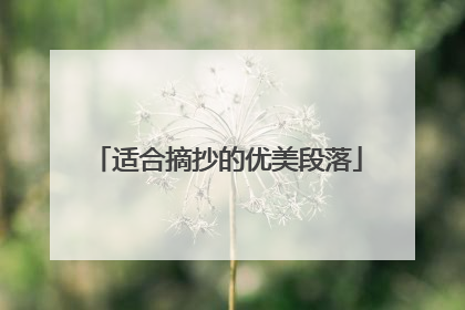适合摘抄的优美段落