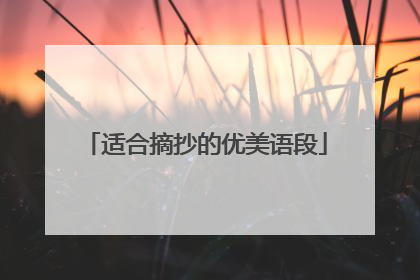 适合摘抄的优美语段