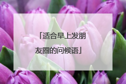 适合早上发朋友圈的问候语