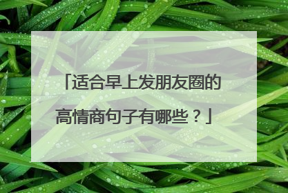 适合早上发朋友圈的高情商句子有哪些？