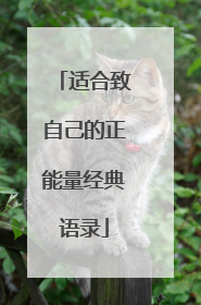 适合致自己的正能量经典语录