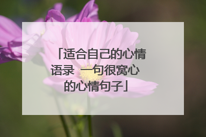 适合自己的心情语录 一句很窝心的心情句子
