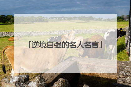 逆境自强的名人名言