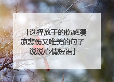 选择放手的伤感凄凉悲伤又唯美的句子说说心情短语