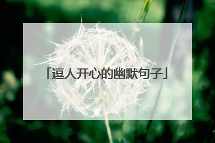 逗人开心的幽默句子