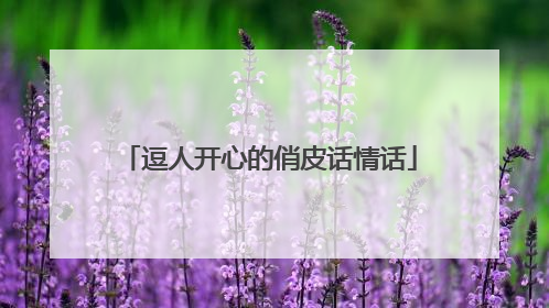 逗人开心的俏皮话情话