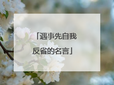 遇事先自我反省的名言
