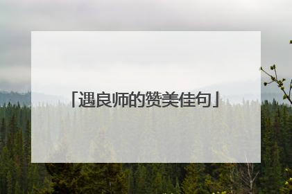 遇良师的赞美佳句