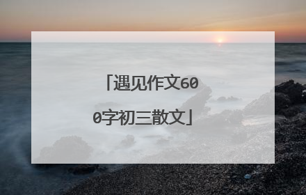 遇见作文600字初三散文