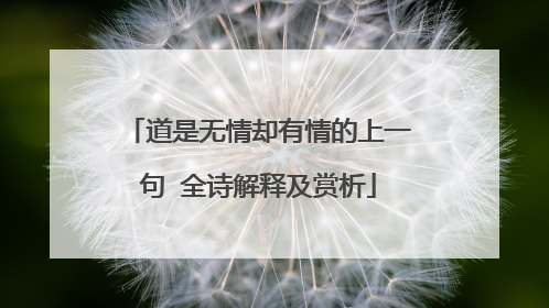 道是无情却有情的上一句 全诗解释及赏析