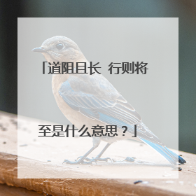 道阻且长 行则将至是什么意思?
