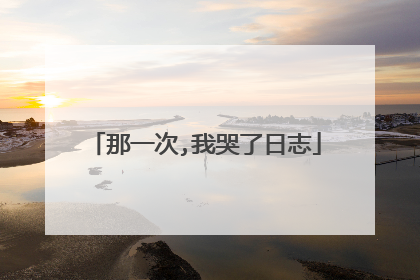 那一次,我哭了日志