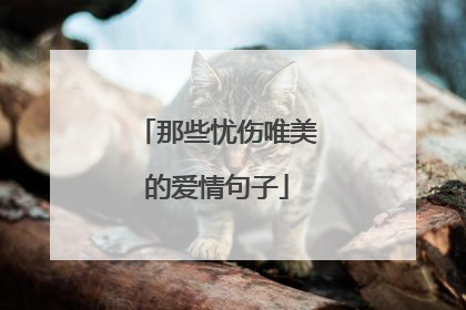 那些忧伤唯美的爱情句子