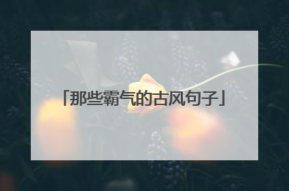 那些霸气的古风句子
