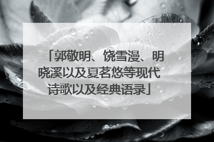 郭敬明、饶雪漫、明晓溪以及夏茗悠等现代诗歌以及经典语录